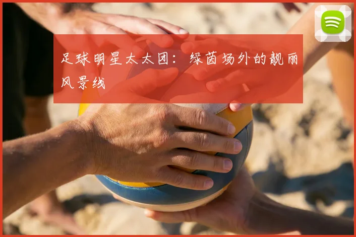 足球明星太太团:绿茵场外的靓丽风景线